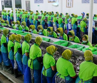 Production Line
